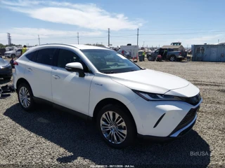 TOYOTA TOYOTA VENZA XLE