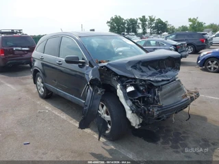 HONDA HONDA CR-V EX