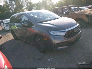 HONDA HONDA ODYSSEY ELITE
