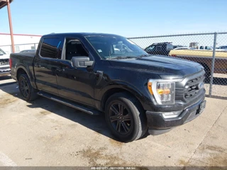 FORD FORD F-150 XLT