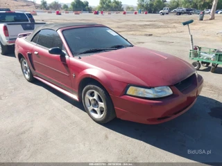 FORD FORD MUSTANG