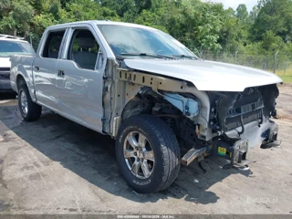 FORD FORD F-150 XLT