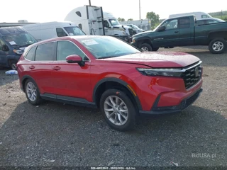 HONDA HONDA CR-V EX-L AWD