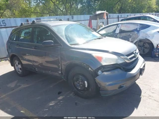 HONDA HONDA CR-V LX