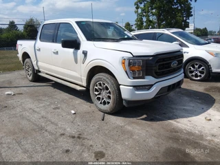 FORD FORD F-150 XLT