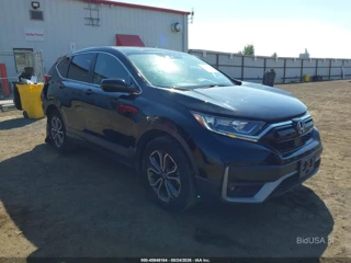 HONDA HONDA CR-V EXL