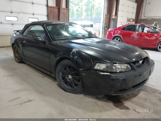 FORD FORD MUSTANG
