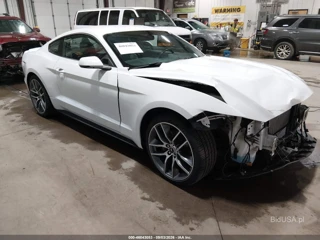 FORD FORD MUSTANG ECOBOOST
