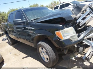 FORD FORD F-150 FX4/KING RANCH/LARIAT/PLATINUM/XL/XLT