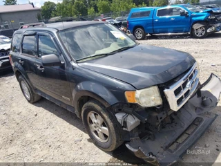 FORD FORD ESCAPE XLT