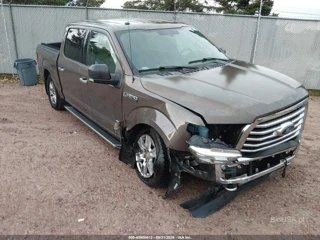 FORD FORD F-150 XLT