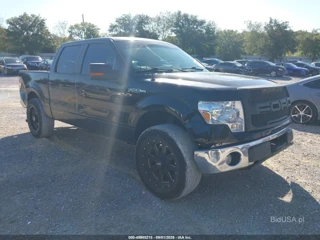 FORD FORD F-150 XL/XLT