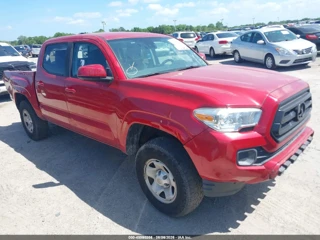 TOYOTA TOYOTA TACOMA SR