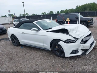 FORD FORD MUSTANG V6