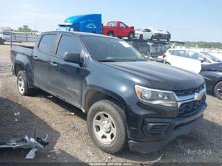 CHEVROLET CHEVROLET COLORADO 2WD  SHORT BOX WT