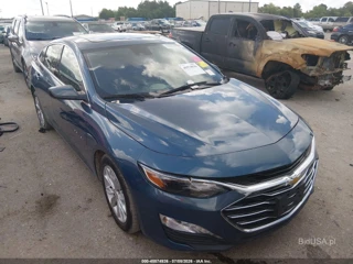 CHEVROLET CHEVROLET MALIBU FWD 1LT