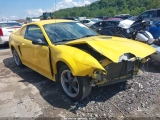 FORD FORD MUSTANG