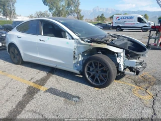 TESLA TESLA MODEL 3 REAR-WHEEL DRIVE