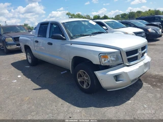 DODGE DODGE DAKOTA SLT