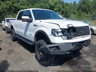FORD FORD F-150 FX4