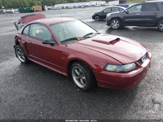 FORD FORD MUSTANG GT