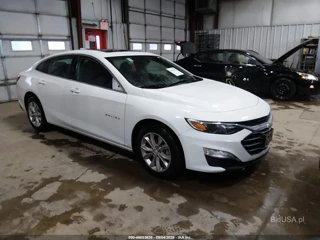 CHEVROLET CHEVROLET MALIBU FWD 1LT