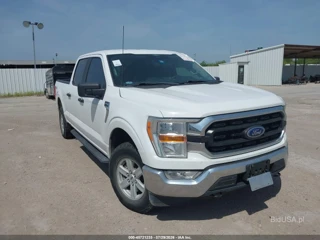 FORD FORD F-150 XLT