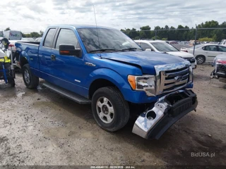 FORD FORD F-150 XLT