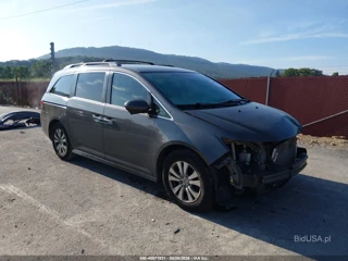 HONDA HONDA ODYSSEY EX
