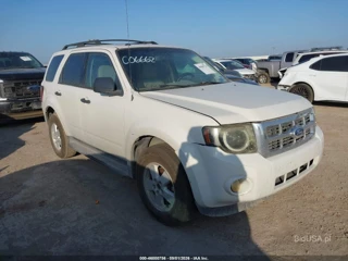 FORD FORD ESCAPE XLT