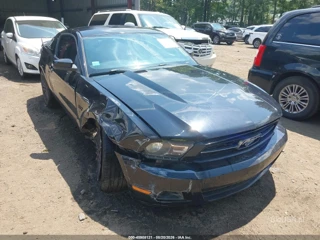 FORD FORD MUSTANG V6 PREMIUM