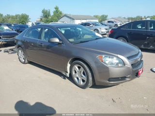 CHEVROLET CHEVROLET MALIBU LS