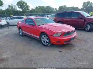 FORD FORD MUSTANG V6
