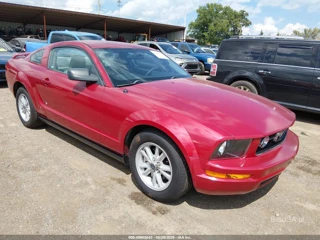 FORD FORD MUSTANG V6
