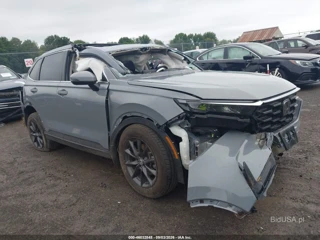 HONDA HONDA CR-V EX-L AWD