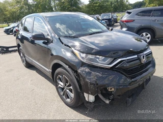 HONDA HONDA CR-V AWD EX