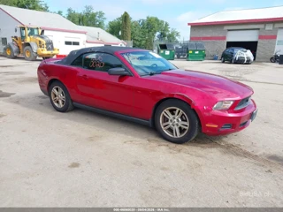 FORD FORD MUSTANG V6