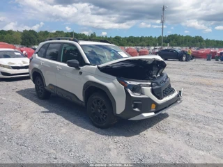 SUBARU SUBARU FORESTER WILDERNESS