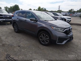 HONDA HONDA CR-V AWD EX-L
