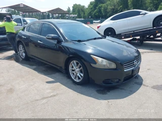 NISSAN NISSAN MAXIMA 3.5 SV