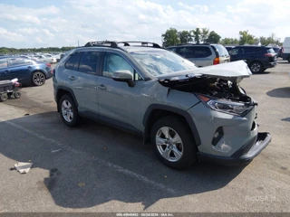 TOYOTA TOYOTA RAV4 HYBRID XLE