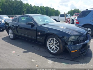 FORD FORD MUSTANG V6 PREMIUM