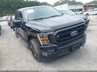 FORD FORD F-150 XLT