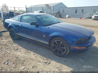 FORD FORD MUSTANG V6
