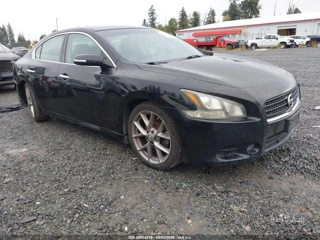 NISSAN NISSAN MAXIMA 3.5 SV