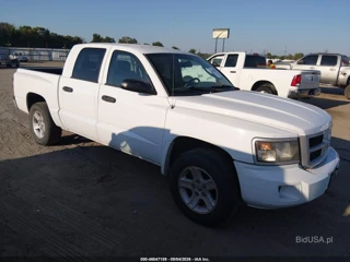 DODGE DODGE DAKOTA BIGHORN/LONESTAR
