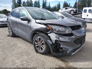 FORD FORD ESCAPE SEL HYBRID