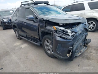 TOYOTA TOYOTA RAV4 XLE