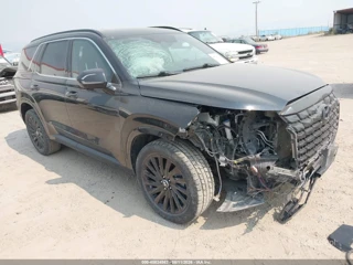 HYUNDAI HYUNDAI PALISADE CALLIGRAPHY NIGHT EDITION