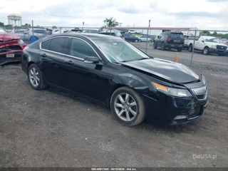 ACURA ACURA TL 3.5